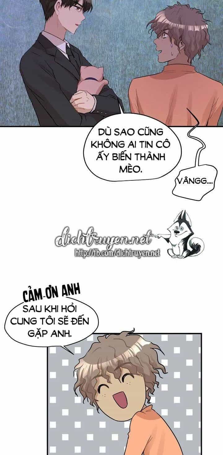 Một Cuộc Sống Kỳ Lạ - Chương 26 - ảnh 52