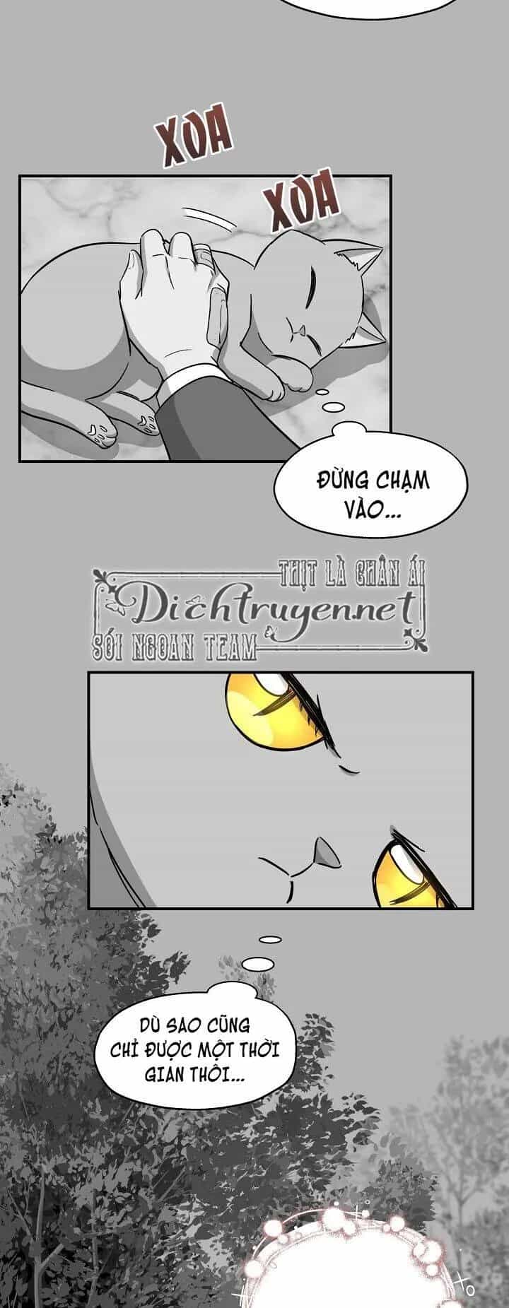 Một Cuộc Sống Kỳ Lạ - Chương 41 - ảnh 15