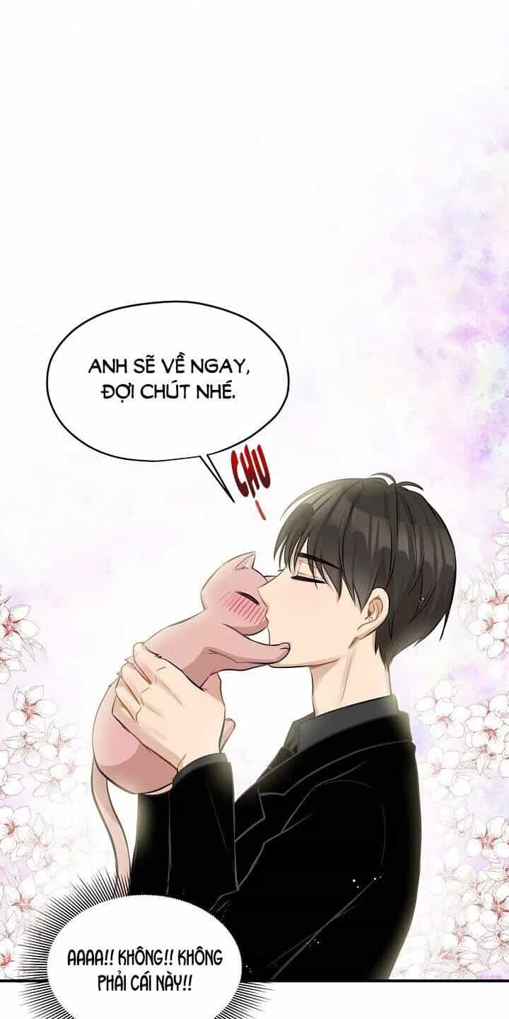 Một Cuộc Sống Kỳ Lạ - Chương 44 - ảnh 55