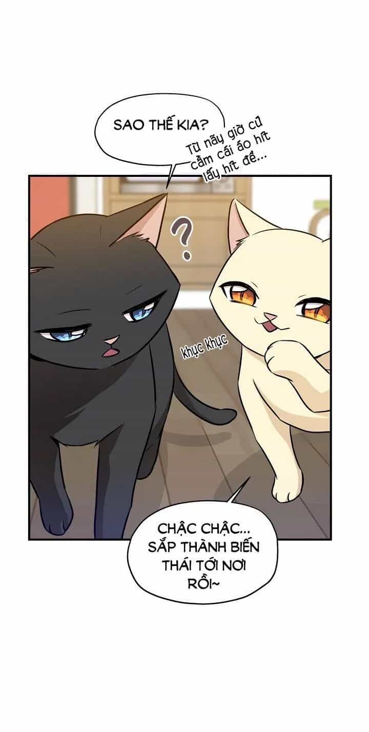 Một Cuộc Sống Kỳ Lạ - Chương 58 - ảnh 15