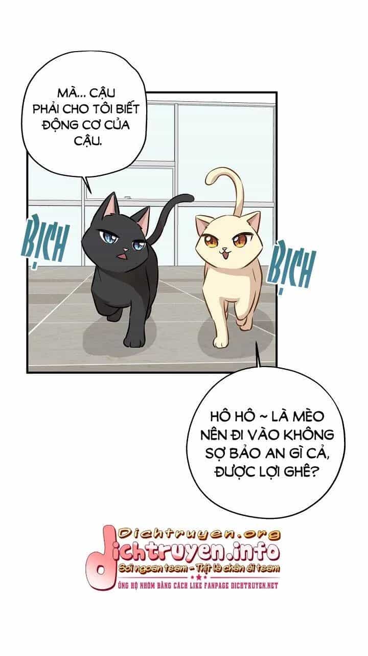 Một Cuộc Sống Kỳ Lạ - Chương 58 - ảnh 60