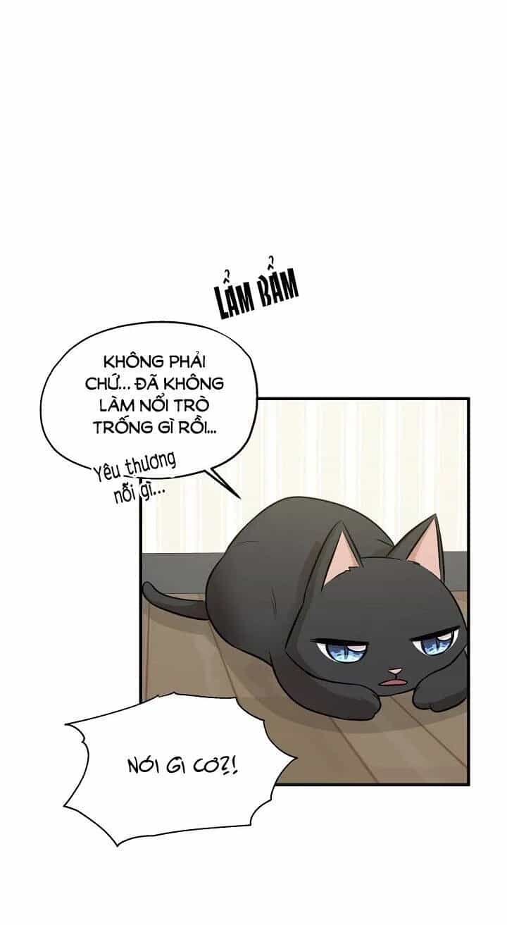 Một Cuộc Sống Kỳ Lạ - Chương 60 - ảnh 56