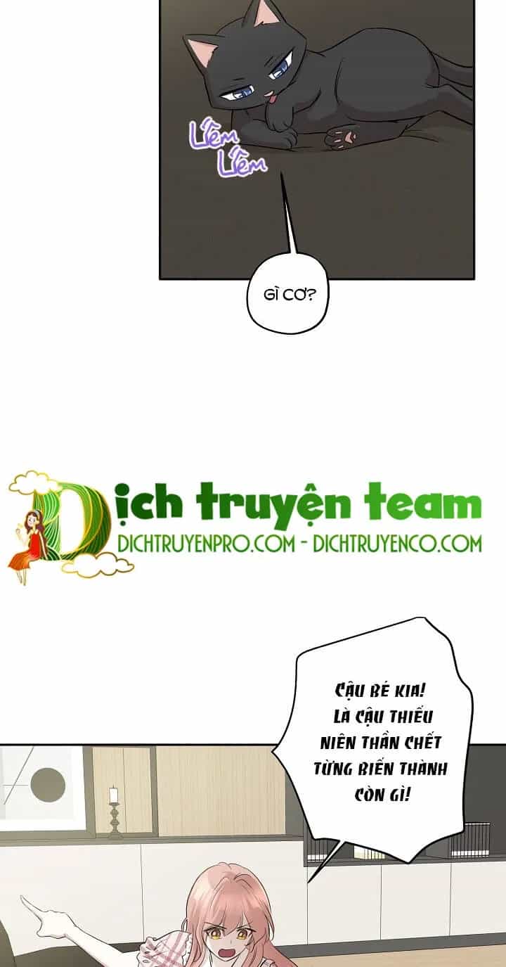 Một Cuộc Sống Kỳ Lạ - Chương 65 - ảnh 12