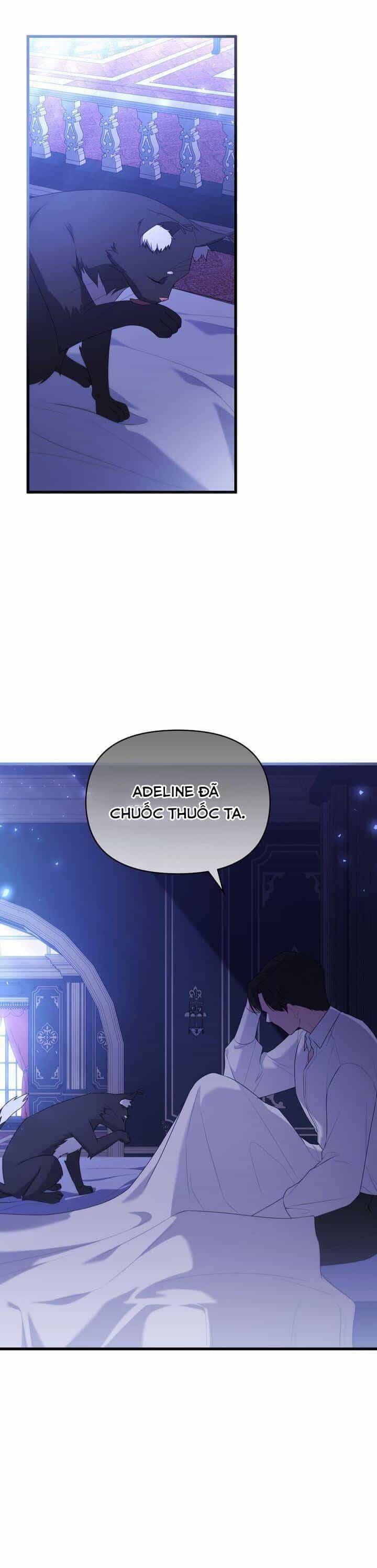 Một Đêm Sâu Đậm Của Adeline - Chương 61 - ảnh 50