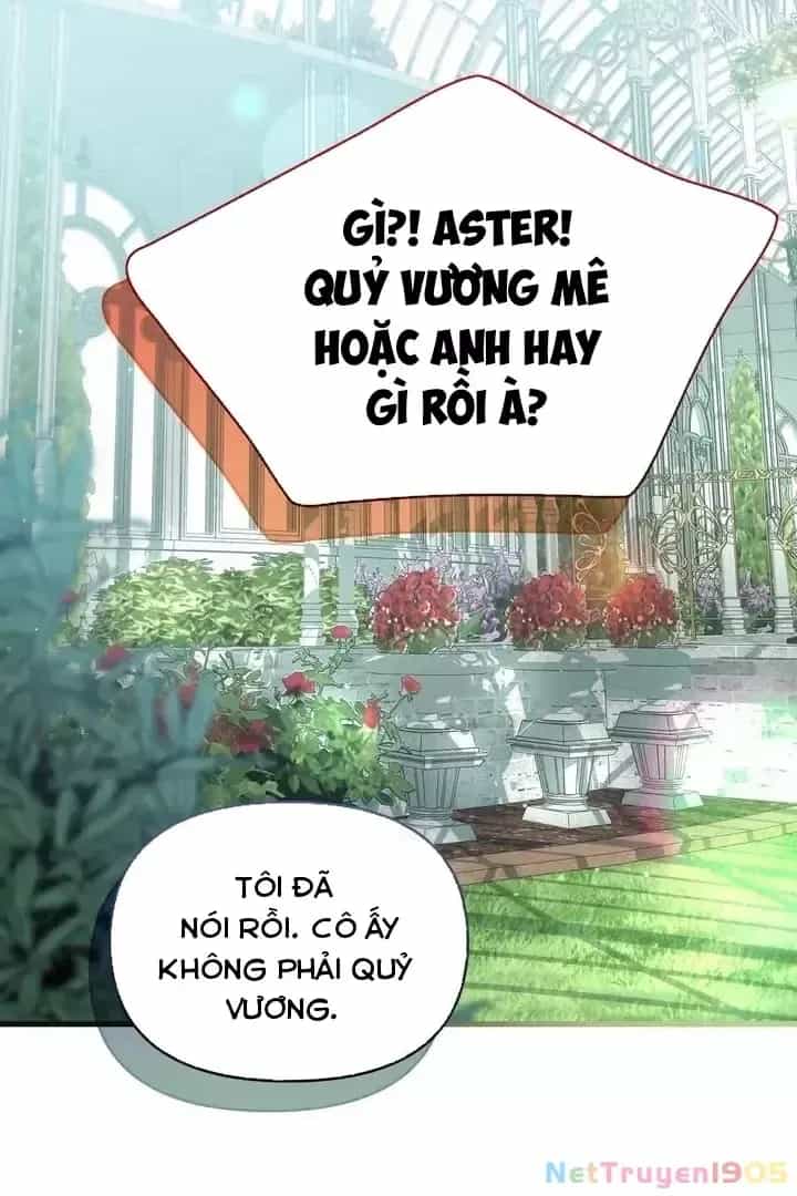 Một Đêm Sâu Đậm Của Adeline - Chương 79 - ảnh 13