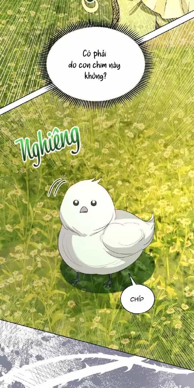 Một Ngày Nọ Bỗng Dưng Cha Xuất Hiện - Chương 72 - ảnh 23