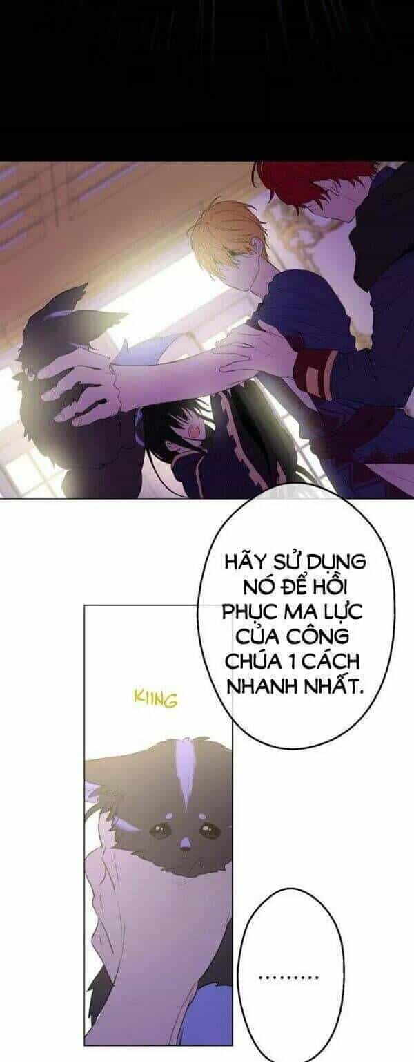 Một Ngày Nọ Tôi Bỗng Thành Nàng Công Chúa - Chương 16.5 - ảnh 29