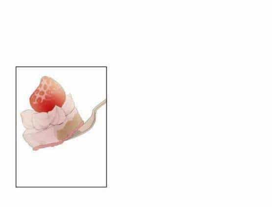 Một Ngày Nọ Tôi Bỗng Thành Nàng Công Chúa - Chương 40 - ảnh 1