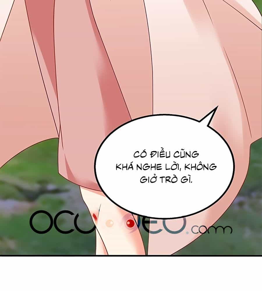 Một Thai Hai Bảo : Đưa Mami Về Nhà ! - Chương 277 - ảnh 8