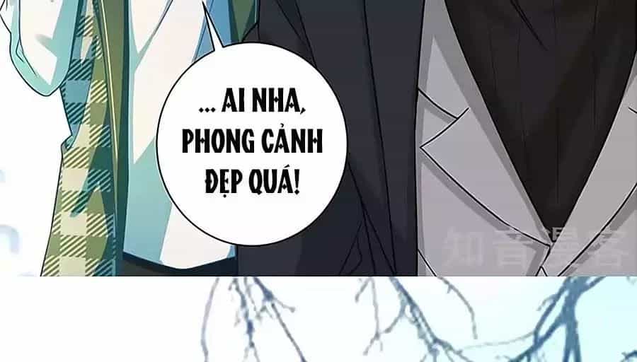 Một Thai Hai Bảo : Đưa Mami Về Nhà ! - Chương 81 - ảnh 20