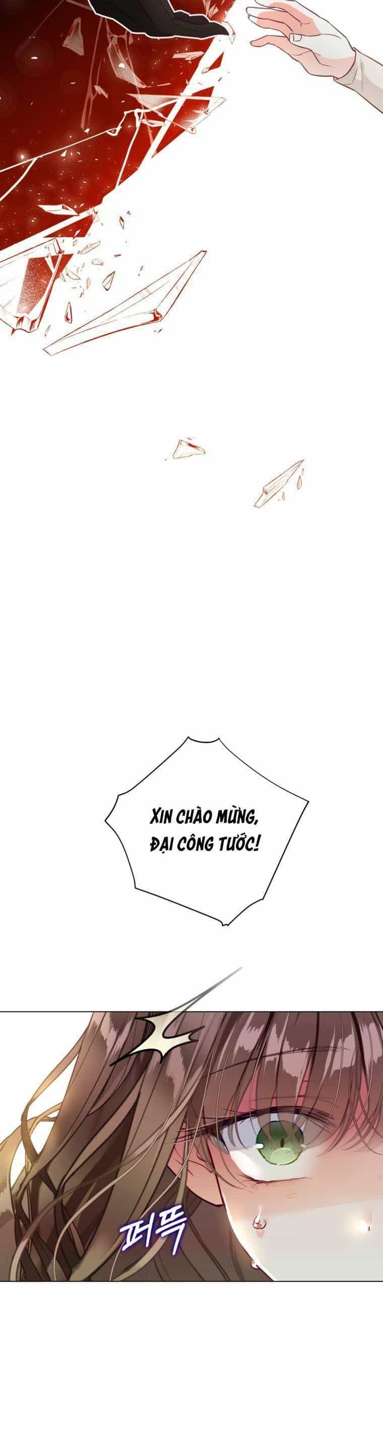 Một Thế Giới Không Có Chị Gái Mà Ai Cũng Yêu - Chương 1 - ảnh 51