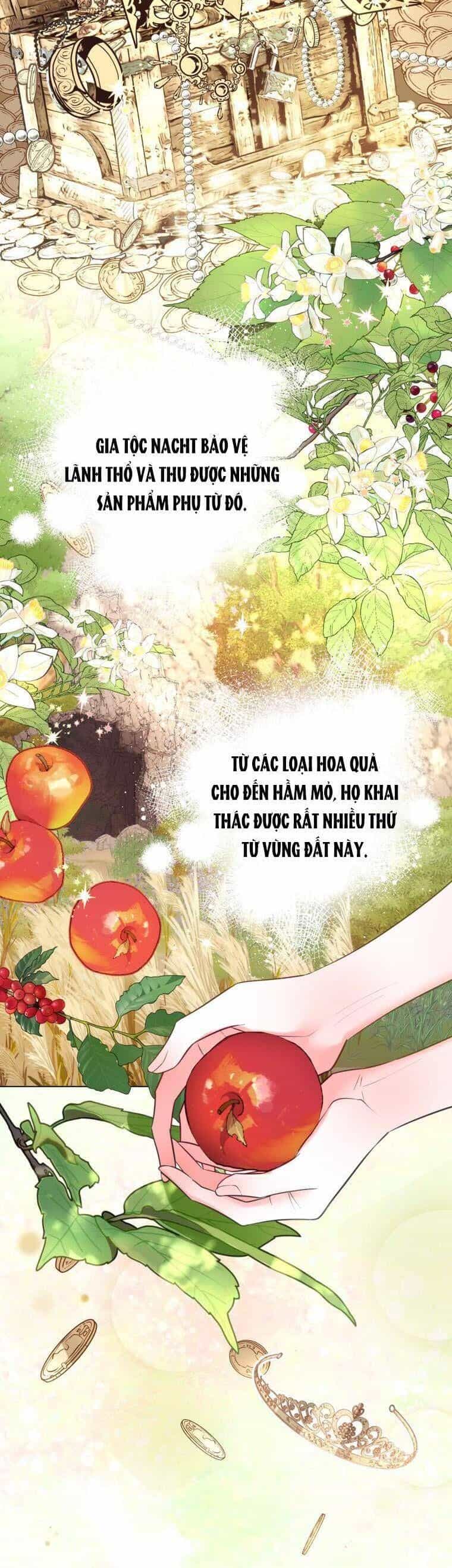 Một Thế Giới Không Có Chị Gái Mà Ai Cũng Yêu - Chương 10 - ảnh 4