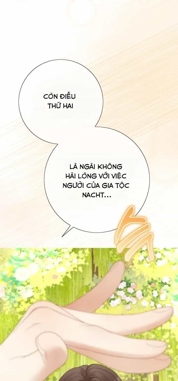 Một Thế Giới Không Có Chị Gái Mà Ai Cũng Yêu - Chương 118 - ảnh 43
