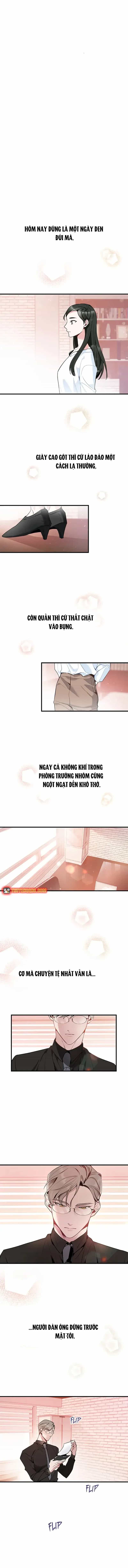 Một Vụ Bê Bối Có Chủ Đích - Chương 1 - ảnh 3