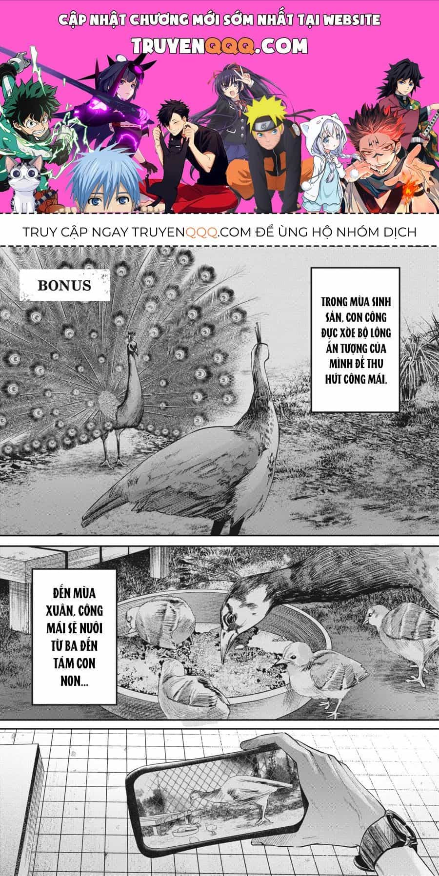 Mùa Hè Hikaru Ra Đi - Chương 11.5 - ảnh 1