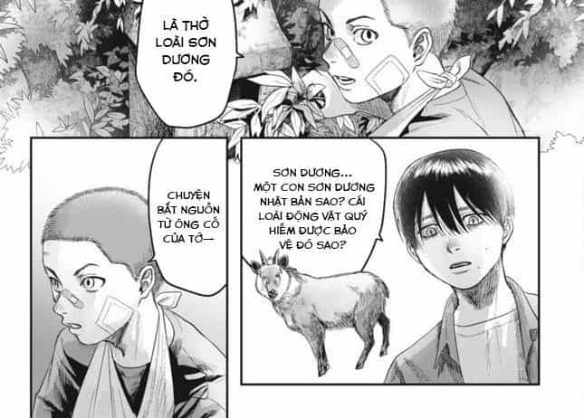 Mùa Hè Hikaru Ra Đi - Chương 29 - ảnh 30