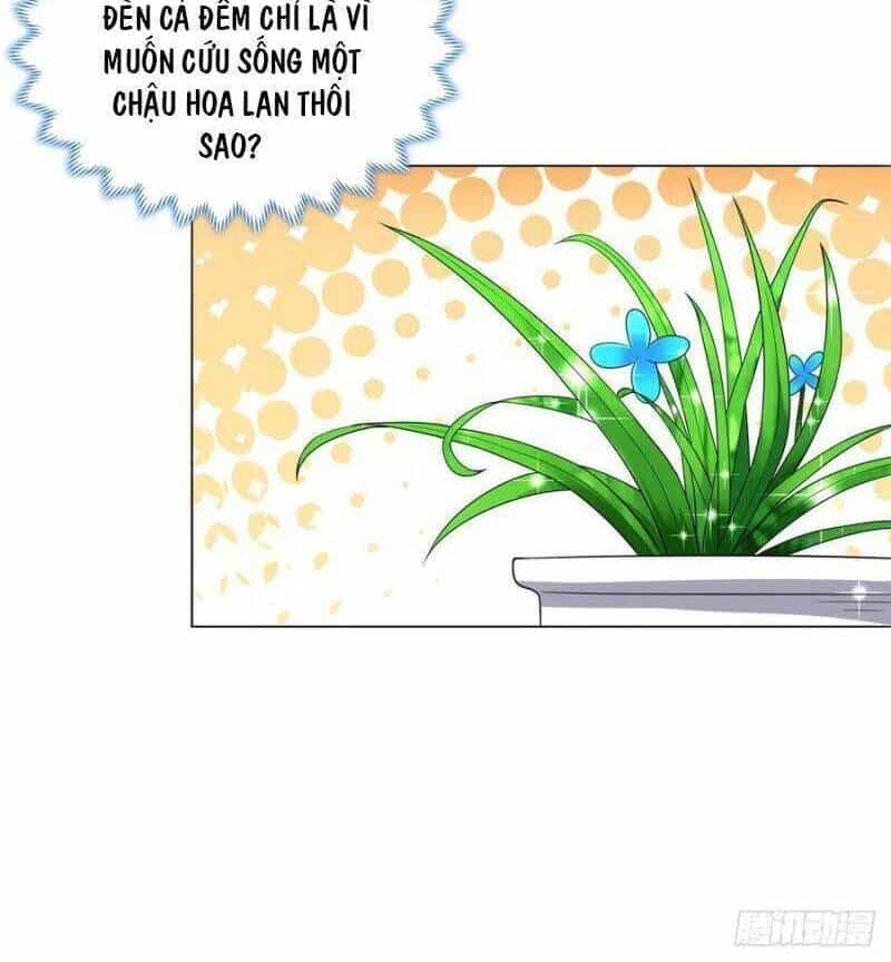 Mục Long Sư - Chương 101 - ảnh 8