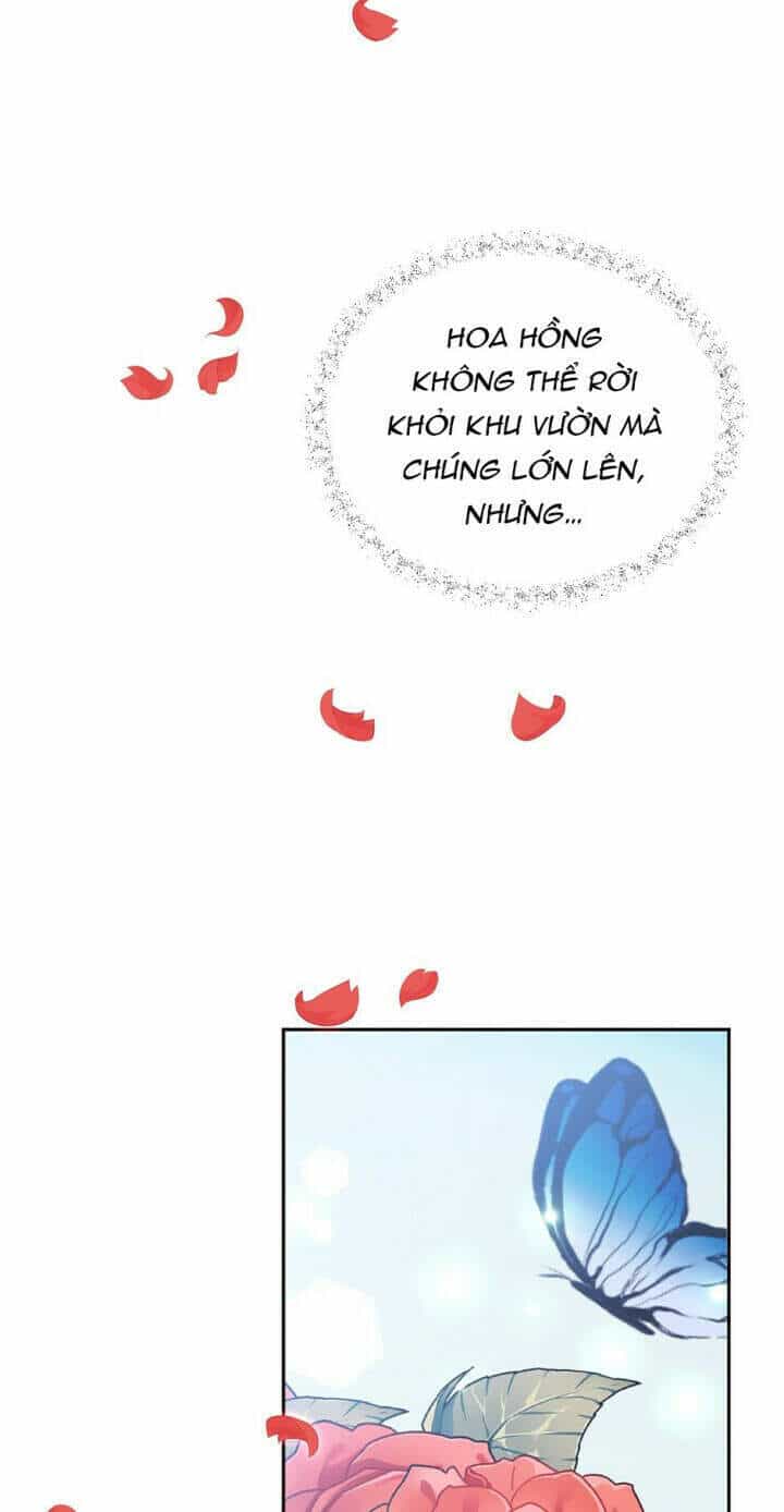 Mục Tiêu Là Cuộc Sống Hoàn Hảo Bất Khả Xâm Phạm - Chương 61 - ảnh 35