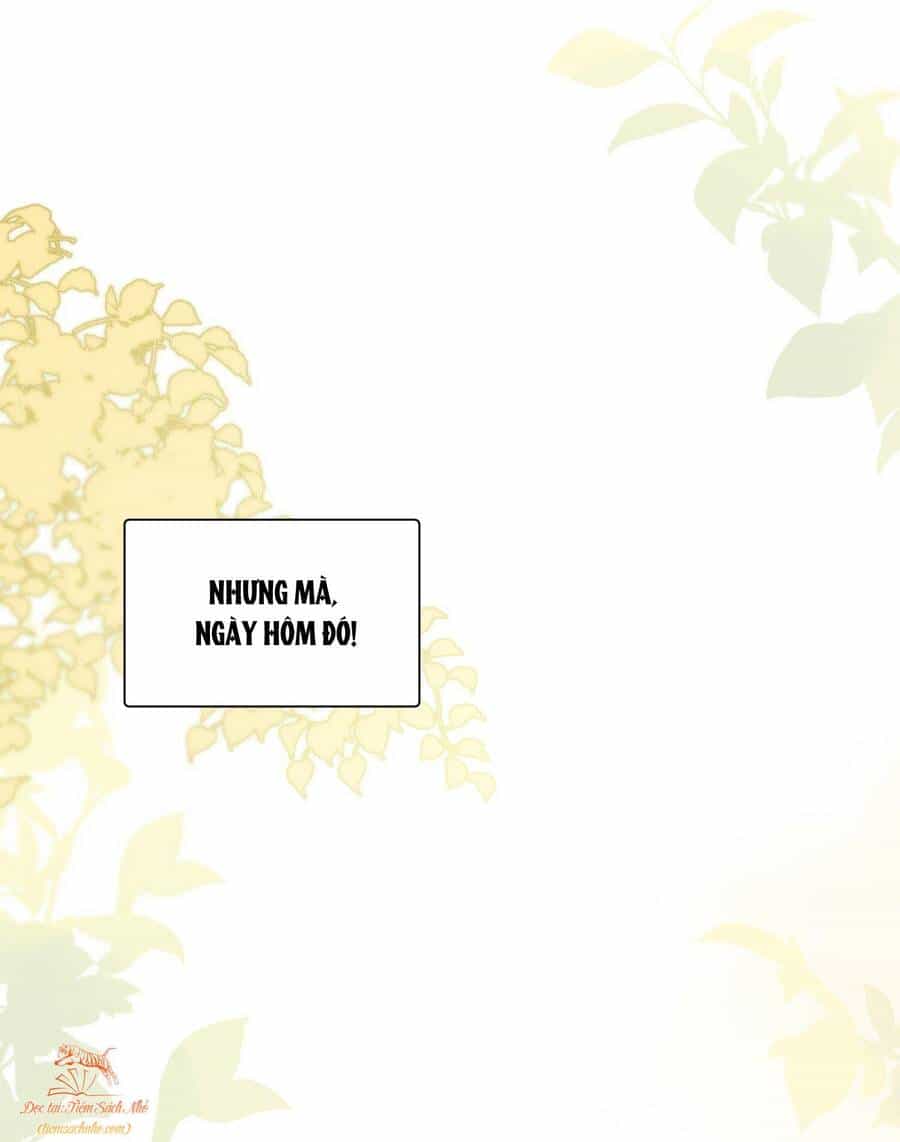 Mười Năm Sau, Tôi Kết Hôn Với Kẻ Không Đội Trời Chung Của Mình?! - Chương 1 - ảnh 22