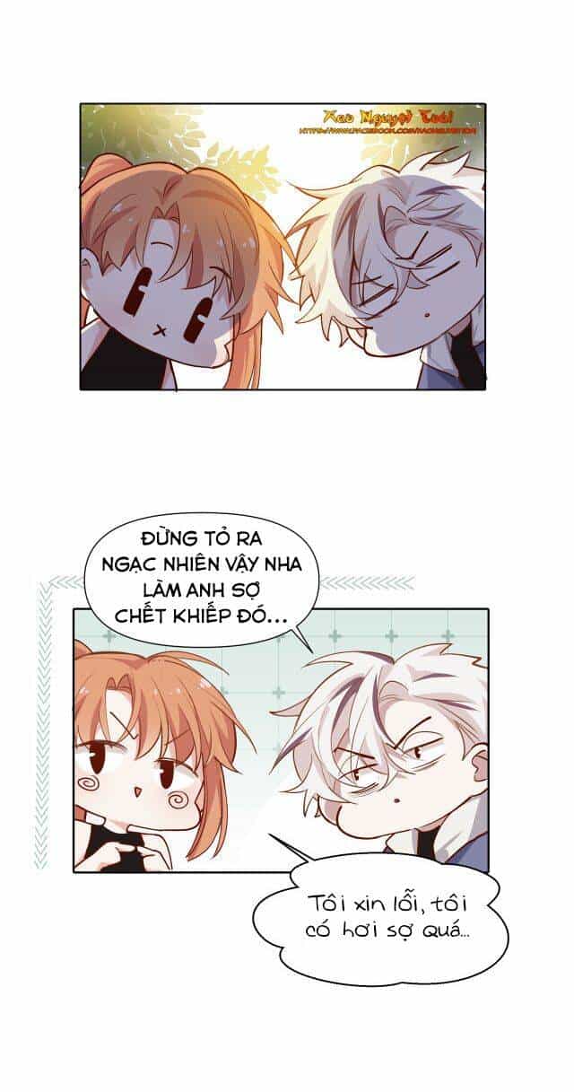 Mười Năm Sau, Tôi Kết Hôn Với Kẻ Không Đội Trời Chung Của Mình?! - Chương 22 - ảnh 21