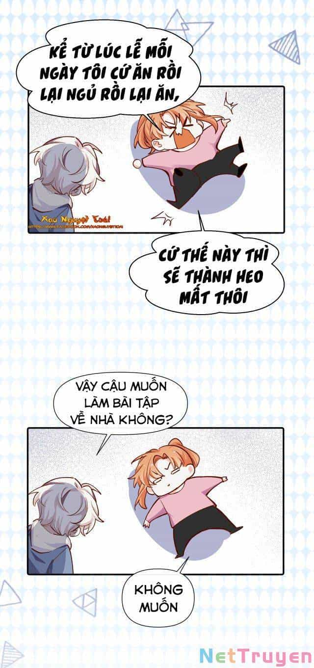 Mười Năm Sau, Tôi Kết Hôn Với Kẻ Không Đội Trời Chung Của Mình?! - Chương 33 - ảnh 3