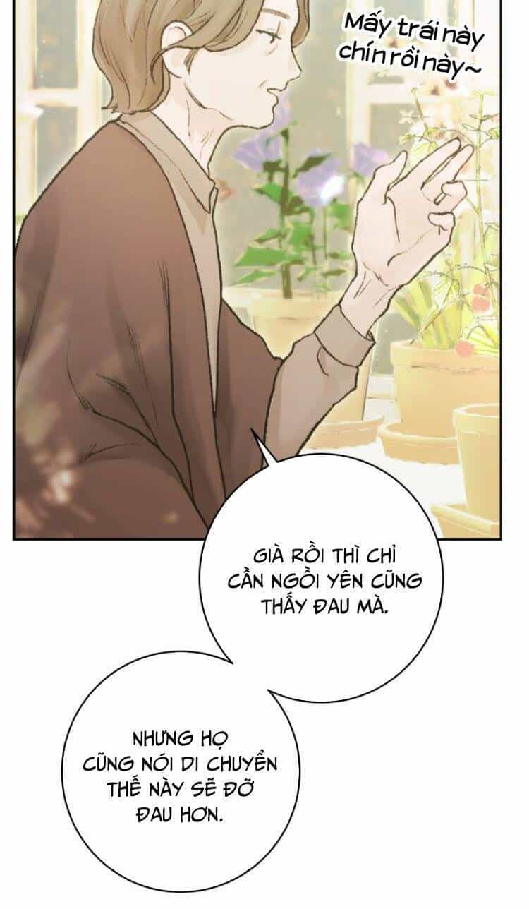 My Demon - Ác Quỷ Của Tôi - Chương 5 - ảnh 38