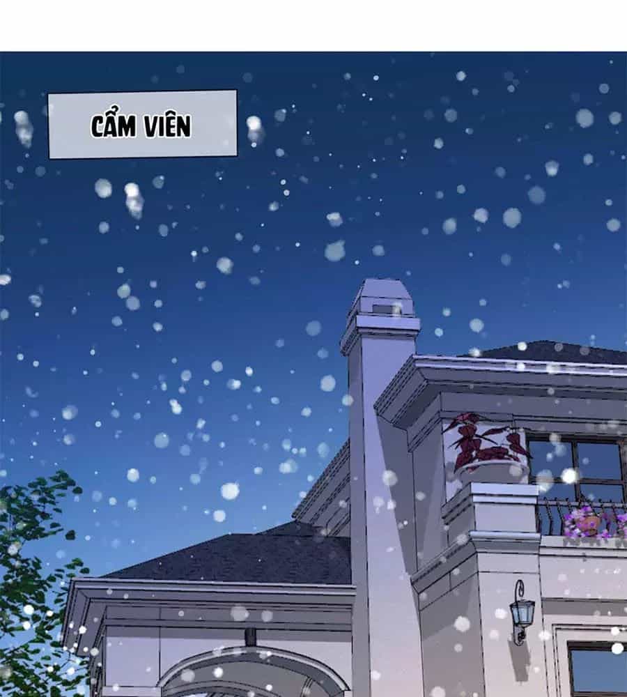 Mỹ Vị Giai Thê - Chương 67 - ảnh 10