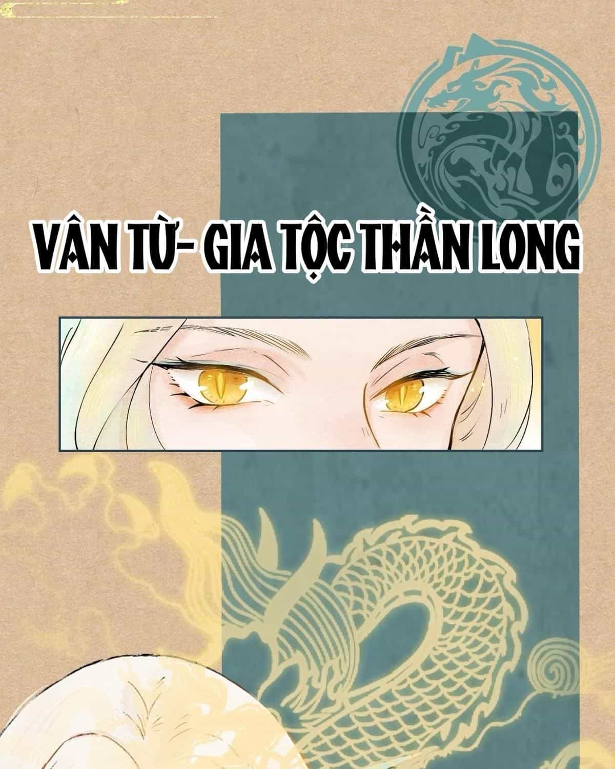 Năm Bạn Mèo - Chương 20 - ảnh 31