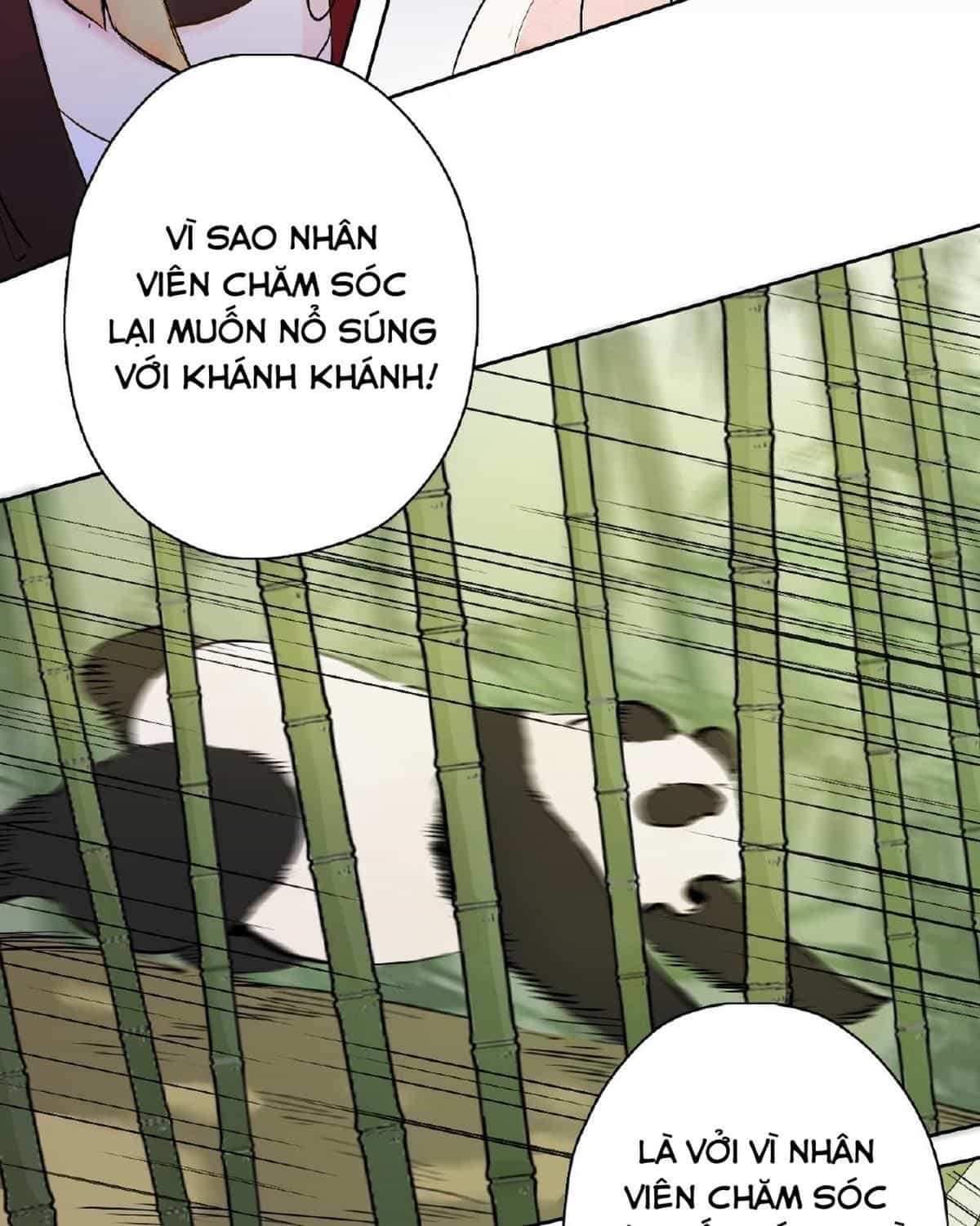 Năm Bạn Mèo - Chương 23 - ảnh 32