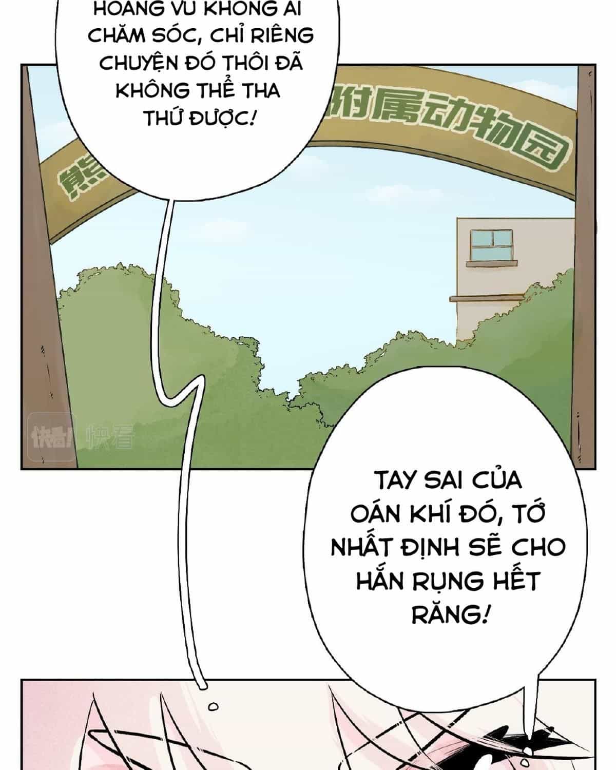 Năm Bạn Mèo - Chương 24 - ảnh 8