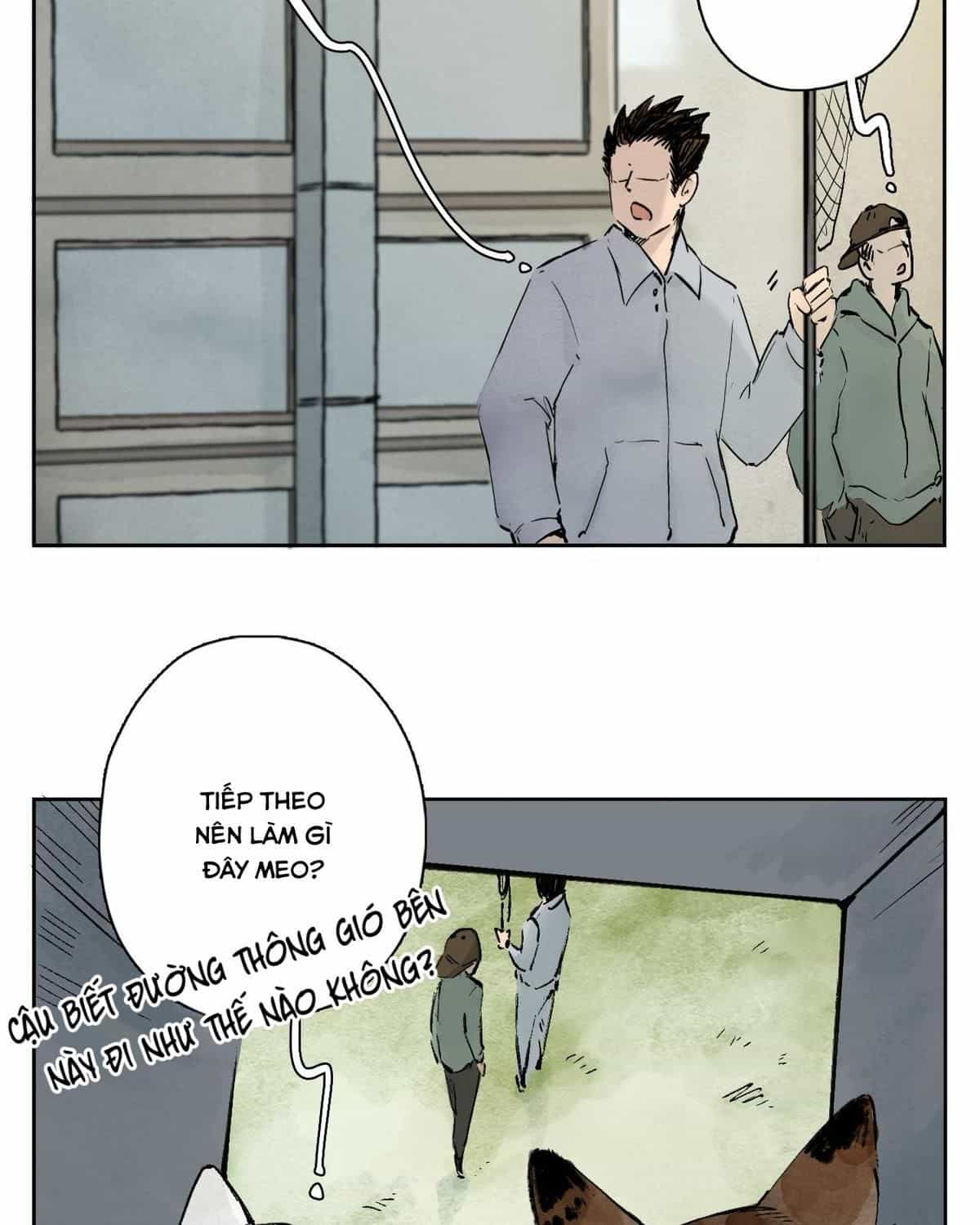 Năm Bạn Mèo - Chương 25 - ảnh 10