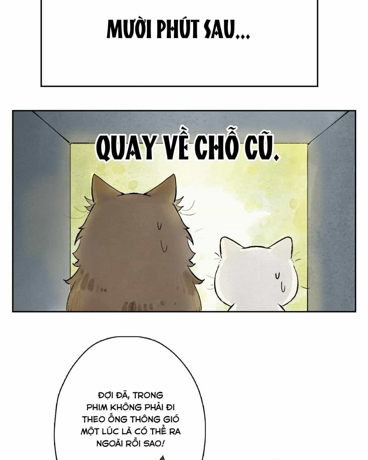 Năm Bạn Mèo - Chương 25 - ảnh 12