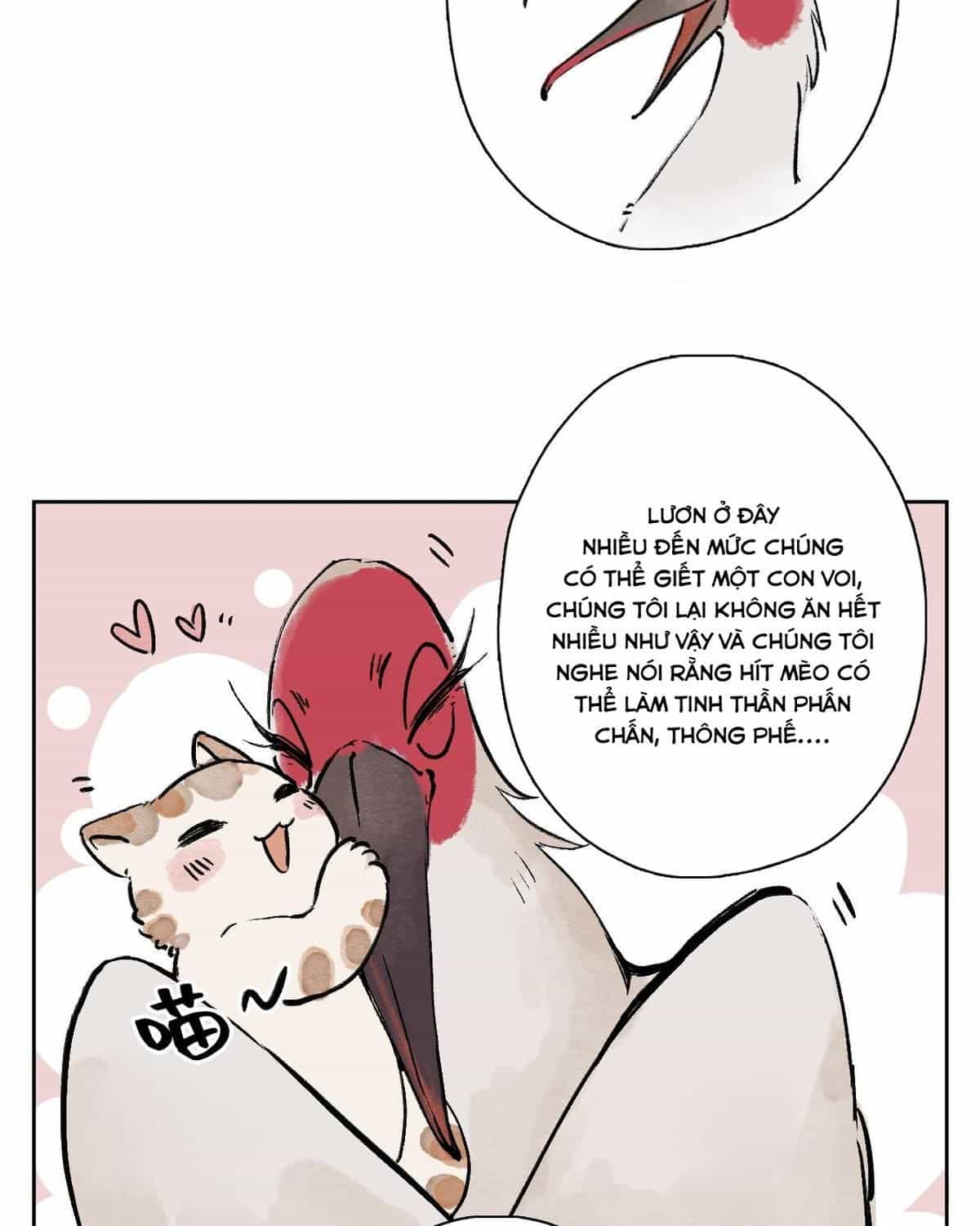 Năm Bạn Mèo - Chương 25 - ảnh 30