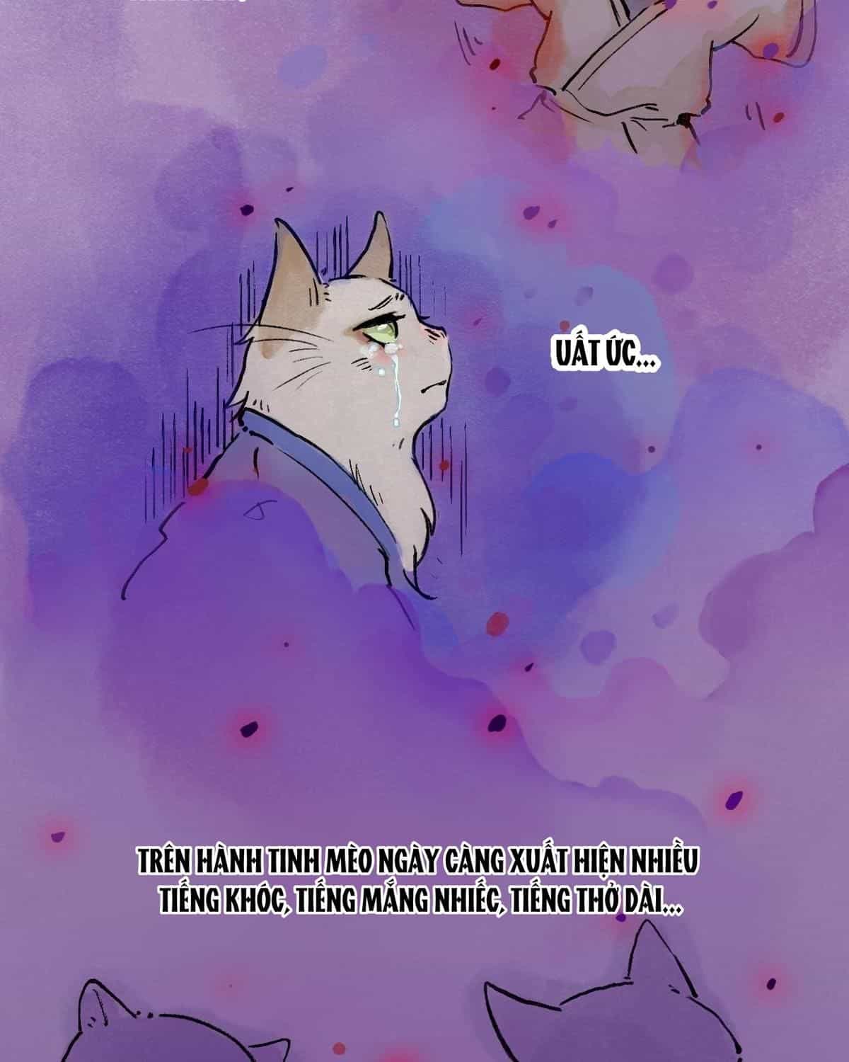 Năm Bạn Mèo - Chương 2 - ảnh 10