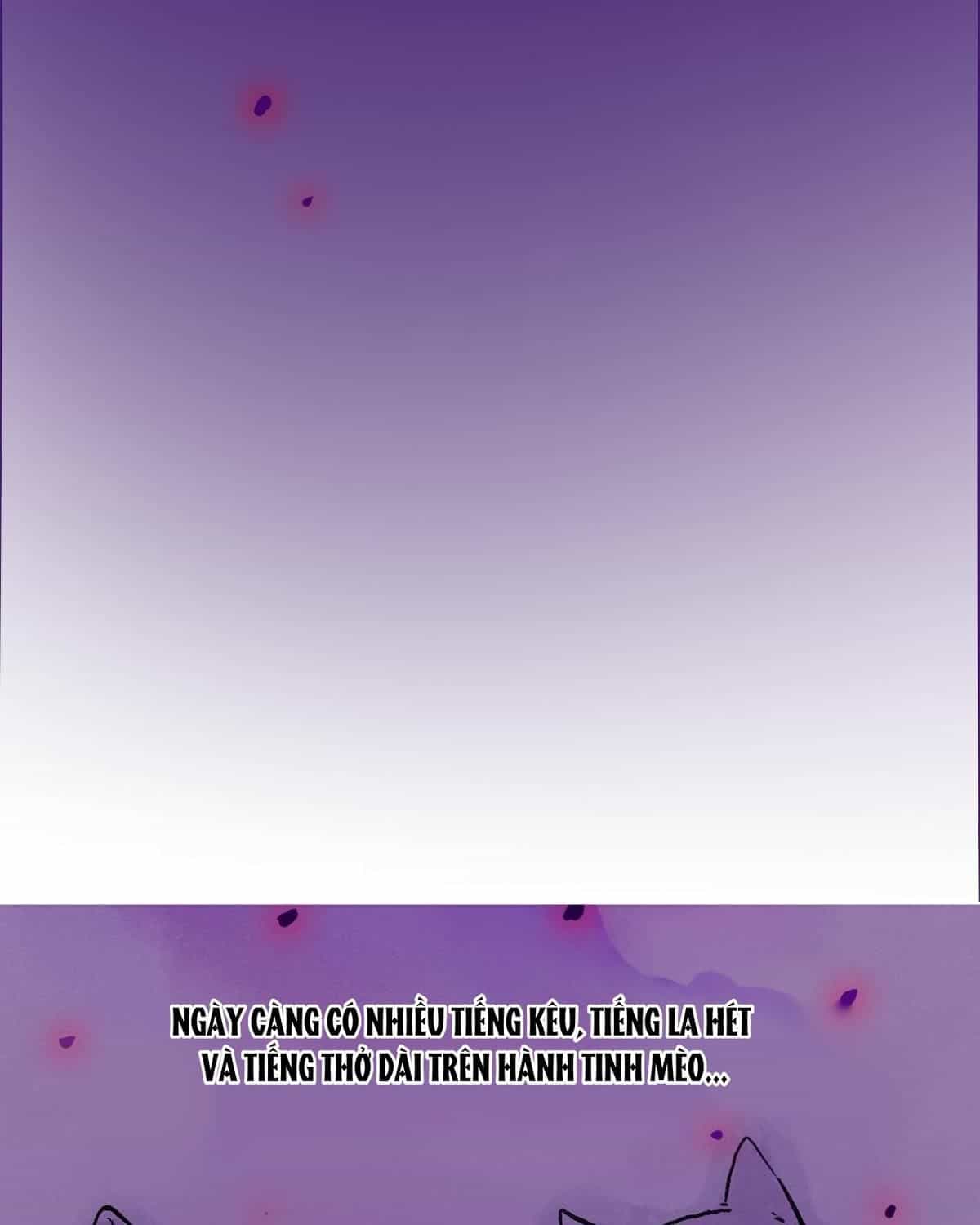 Năm Bạn Mèo - Chương 2 - ảnh 14