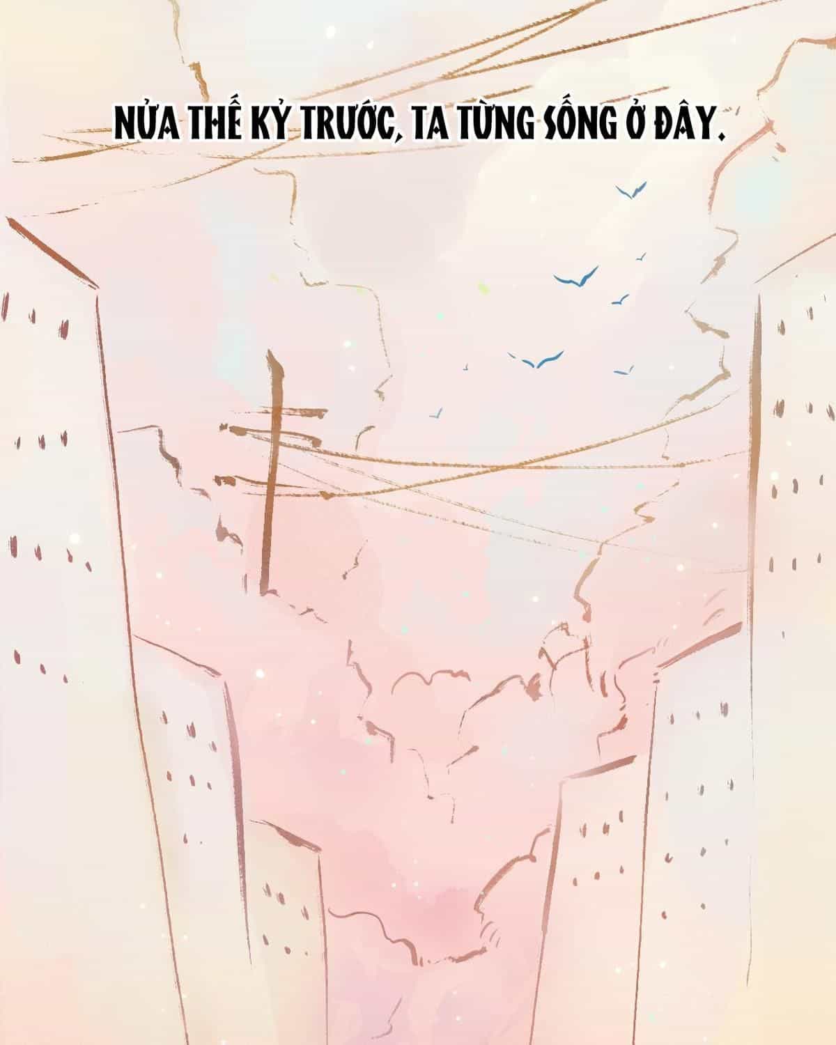Năm Bạn Mèo - Chương 7 - ảnh 21