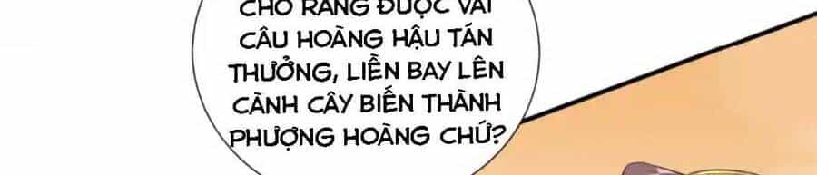 Nam Thần Ai Cũng Muốn Lấy Ta - Chương 28 - ảnh 11