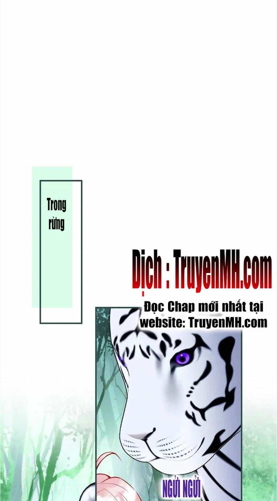 Nam Thành Chờ Trăng Về - Chương 268 - ảnh 19
