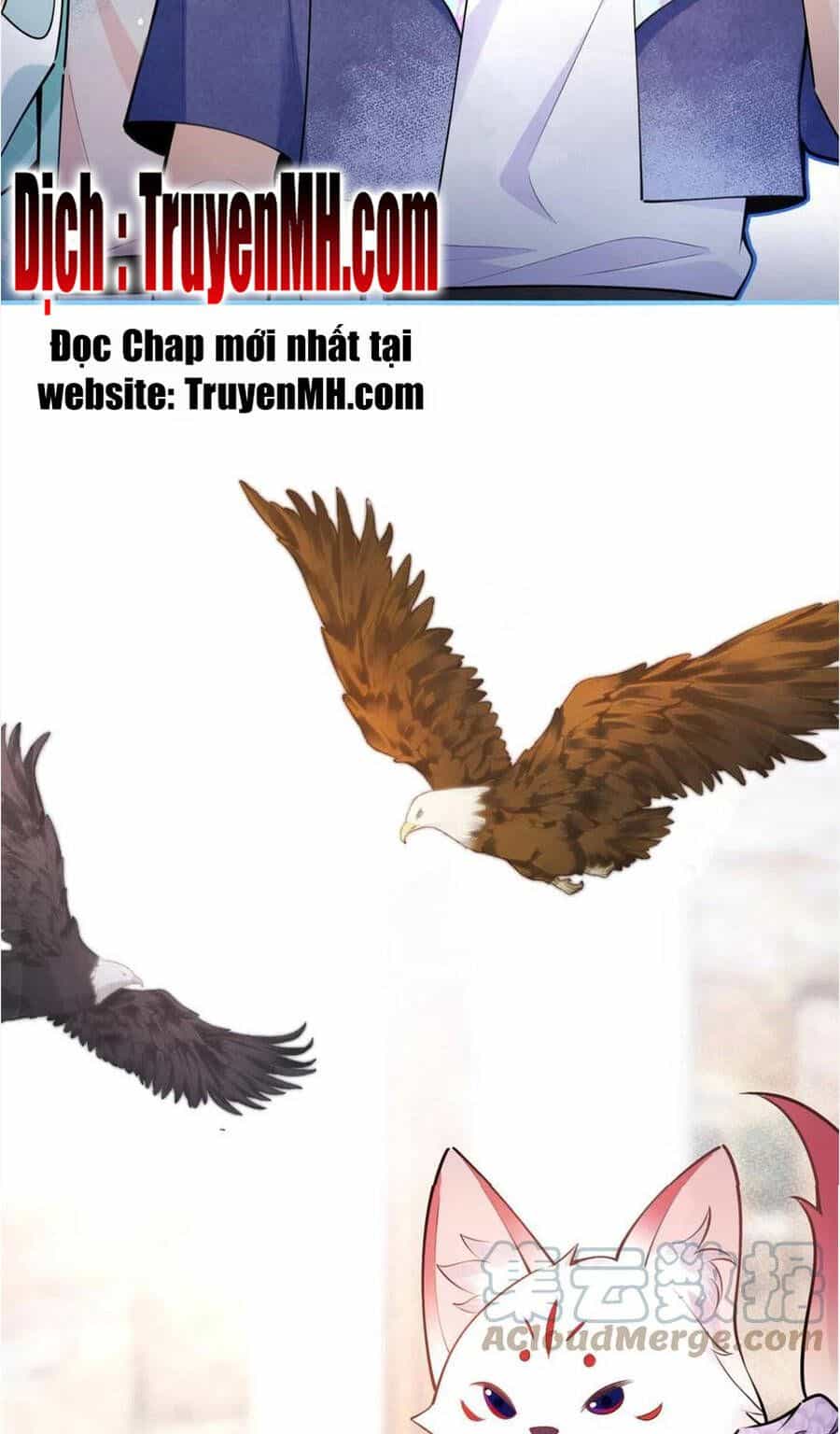 Nam Thành Chờ Trăng Về - Chương 271 - ảnh 14