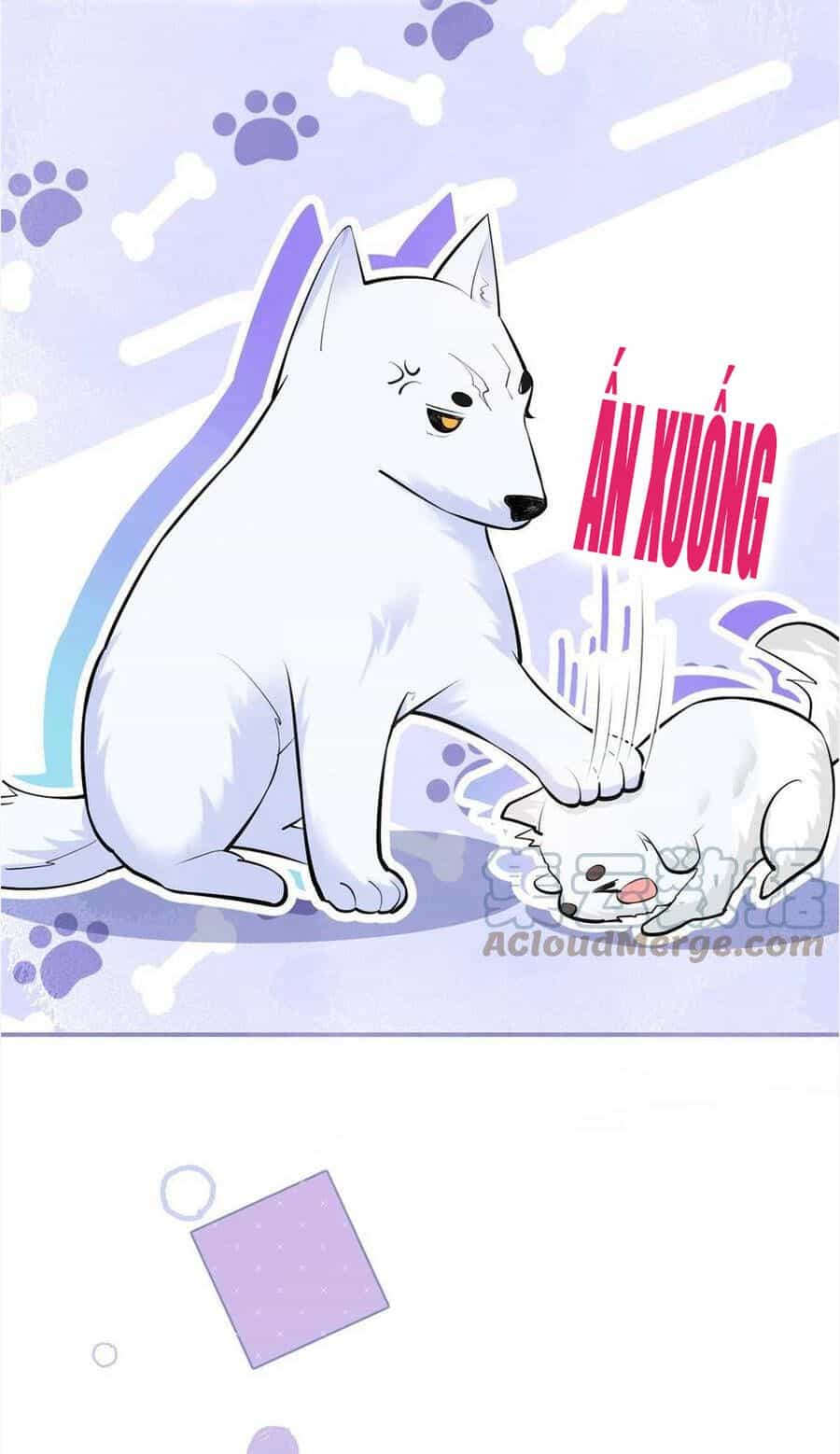 Nam Thành Chờ Trăng Về - Chương 278 - ảnh 19