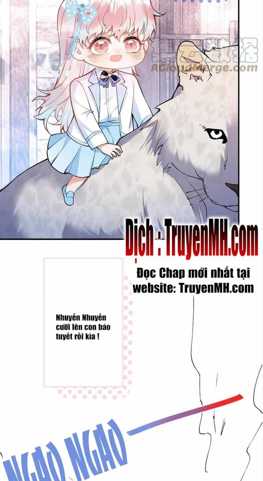 Nam Thành Chờ Trăng Về - Chương 282 - ảnh 7