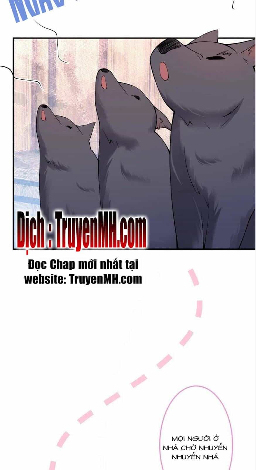 Nam Thành Chờ Trăng Về - Chương 282 - ảnh 8