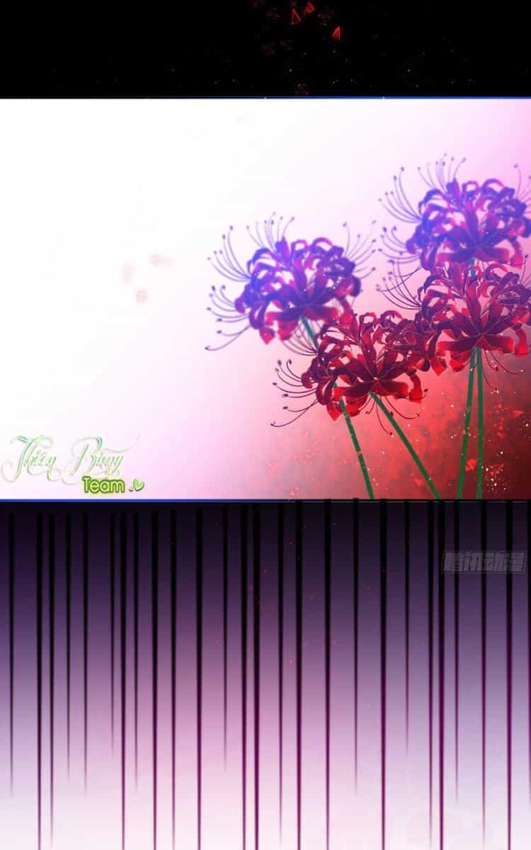 Nam Tử Truyện - Chương 2 - ảnh 13