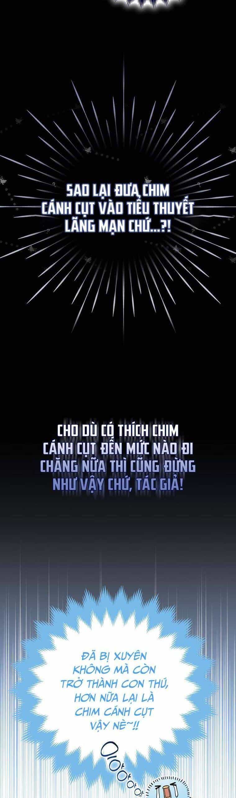 Nàng Chim Cánh Cụt Yêu Thích Của Chàng Cá Voi Sát Thủ Điên Rồ - Chương 1 - ảnh 24
