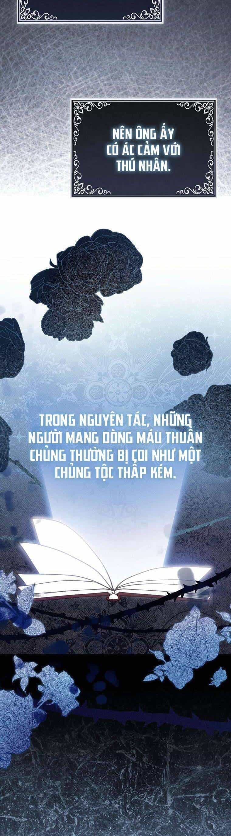 Nàng Chim Cánh Cụt Yêu Thích Của Chàng Cá Voi Sát Thủ Điên Rồ - Chương 1 - ảnh 35
