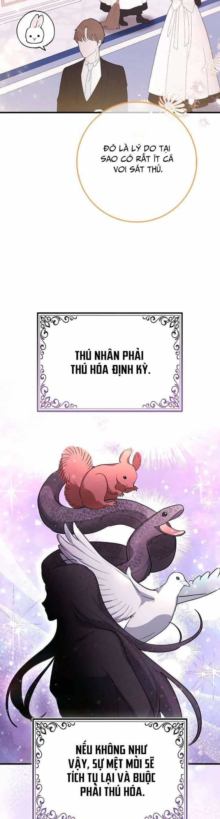 Nàng Chim Cánh Cụt Yêu Thích Của Chàng Cá Voi Sát Thủ Điên Rồ - Chương 5 - ảnh 9