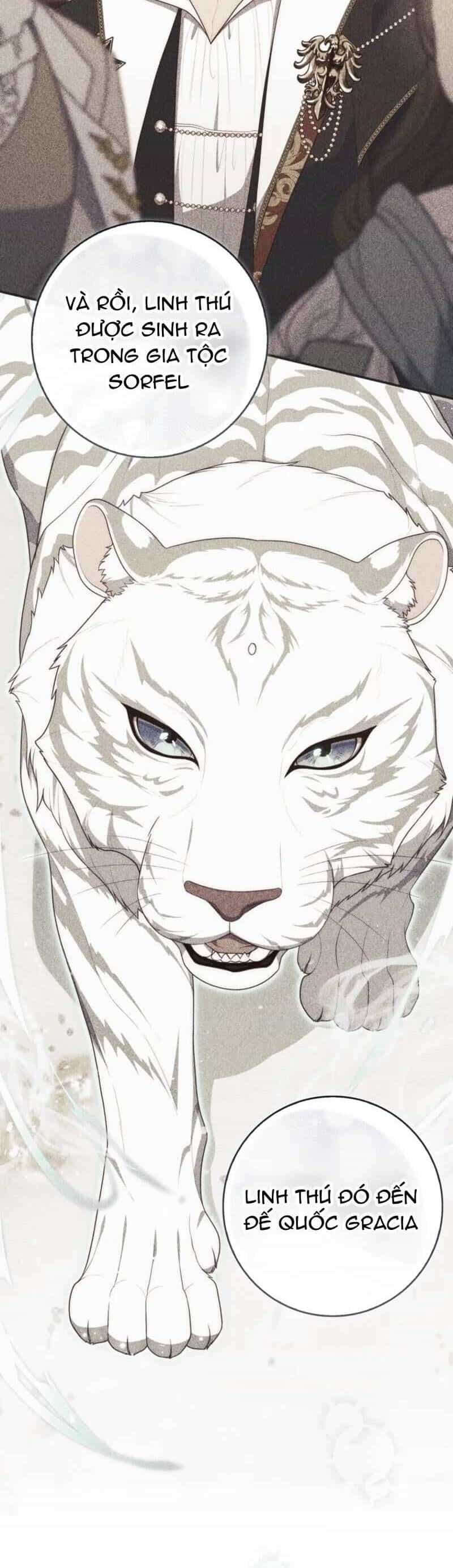 Nàng Công Chúa Tiên Tri - Chương 113 - ảnh 19
