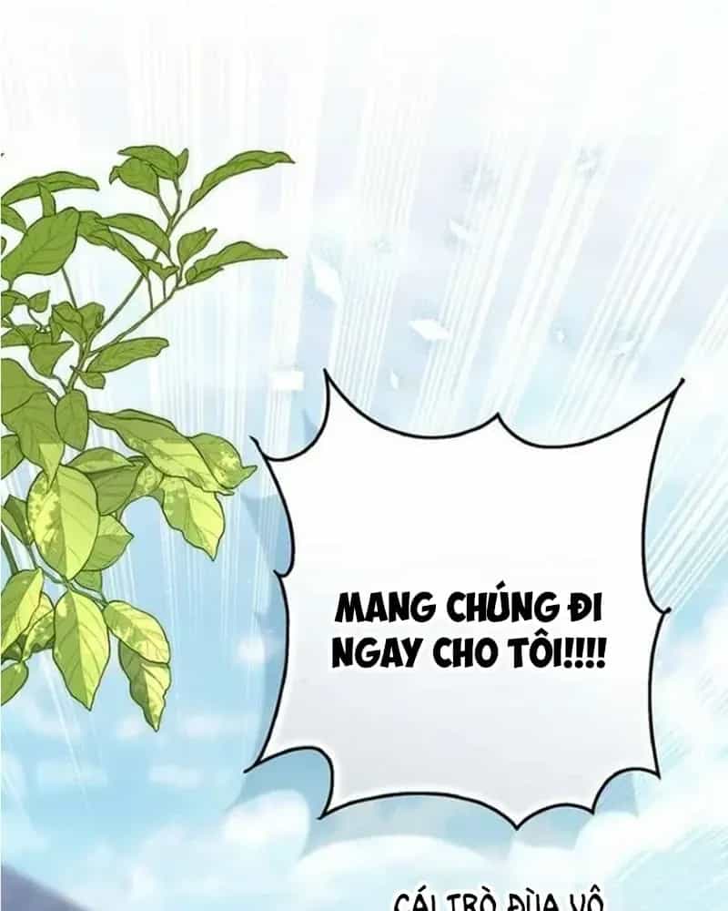 Nàng Công Chúa Tiên Tri - Chương 145 - ảnh 131