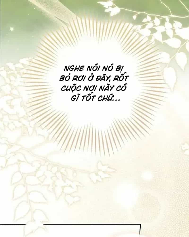 Nàng Công Chúa Tiên Tri - Chương 145 - ảnh 21