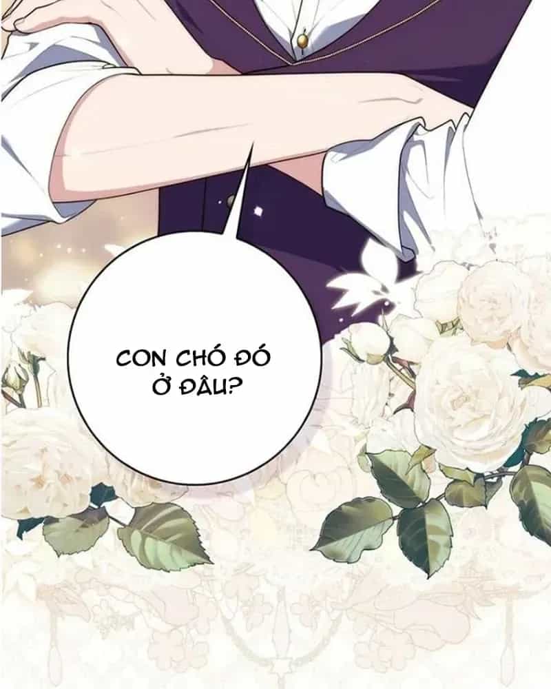 Nàng Công Chúa Tiên Tri - Chương 145 - ảnh 30